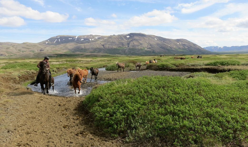 Exploring Iceland on Horseback